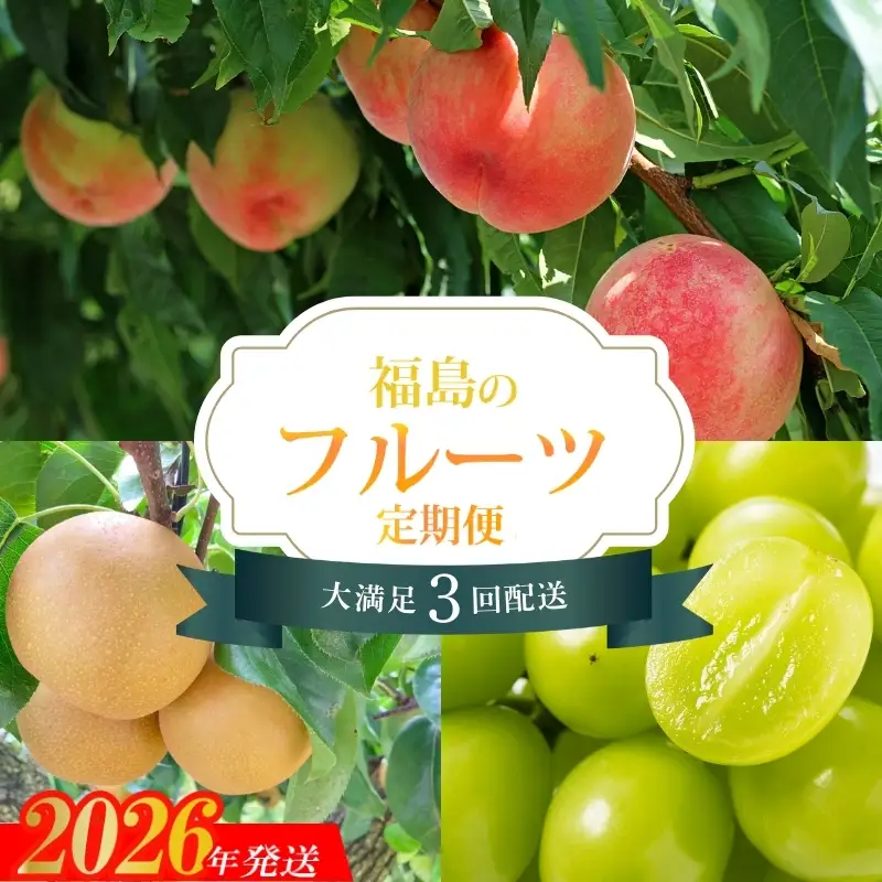 No.2528 【2026年発送分】フルーツ３種定期便　（桃約３kg、梨約３kg、ｼｬｲﾝﾏｽｶｯﾄ2～3房）
