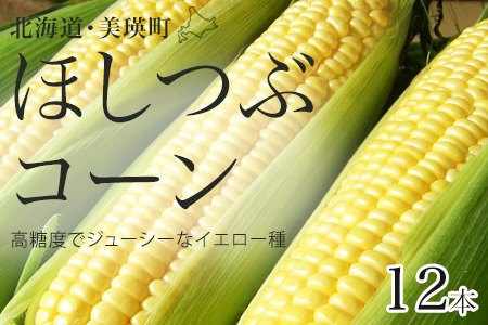 とうもろこし 【令和8年産予約受付】ほしつぶコーン 12本 とうもろこし  [011-56]