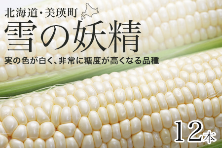 とうもろこし 雪の妖精 12本【令和８年産予約受付】 朝もぎとうもろこし  [011-57]