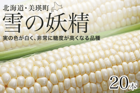 とうもろこし 雪の妖精【令和８年産予約受付】  20本 トウモロコシ  [016-91]