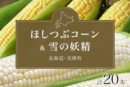 とうもろこし【令和８年産予約受付】 朝もぎとうもろこし ほしつぶコーン＆雪の妖精 各10本 計20本  [016-92]