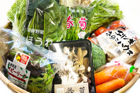 C-864 今が旬！新鮮野菜定期便(6回コース)