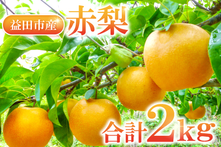 A-935 赤梨 2㎏(幸水梨・豊水梨・新高梨・新興梨)