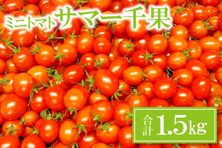 A-949 ミニトマト(サマー千果)1.5㎏