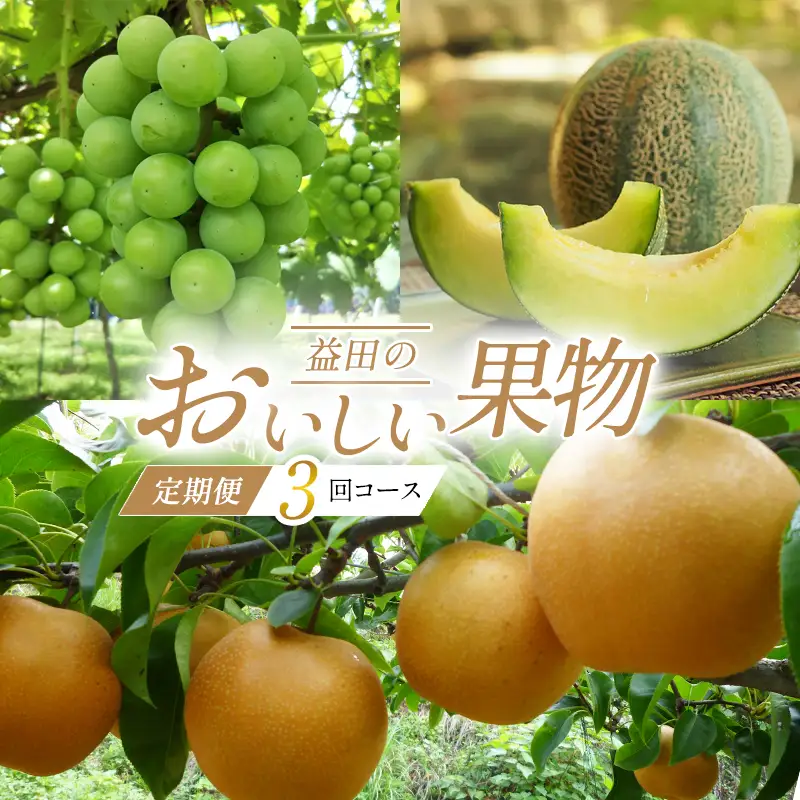 D-948 益田のおいしい果物  定期便(3回コース)