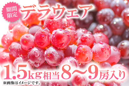 A-164 益田産デラウェア