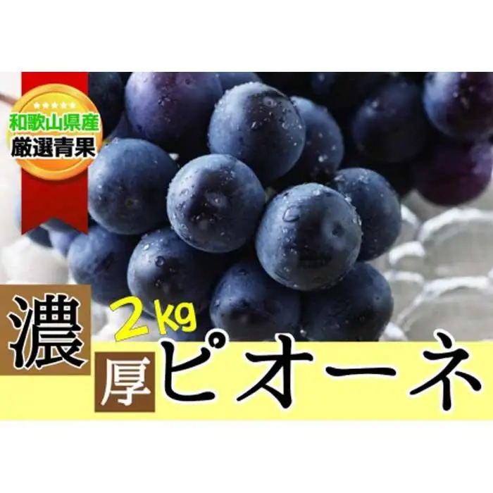 【甘さとみずみずしさが自慢】種なしピオーネ＜ぶどう約２kg＞★8月下旬から9月下旬発送★【KF10】