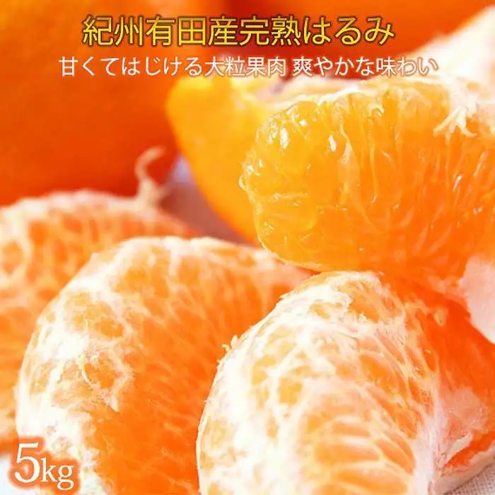 果肉ぷりぷり!完熟はるみ　５ｋｇ［2027年2月上旬頃～2027年2月下旬頃に順次発送］［UT22］