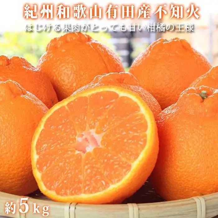 紀州有田産不知火(しらぬひ) 約５kg［2027年2月中旬以降発送］［先行予約］［UT40］