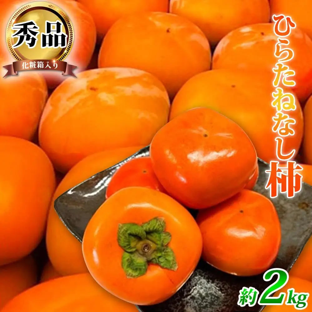 平核無柿（ひらたねなしがき）約２kg　化粧箱入　和歌山秋の味覚［2026年発送］［UT35］柿