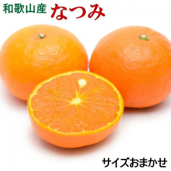［希少柑橘］和歌山県産なつみ約5kg（S～2Lサイズおまかせ）★2027年4月頃より順次発送［TM147］