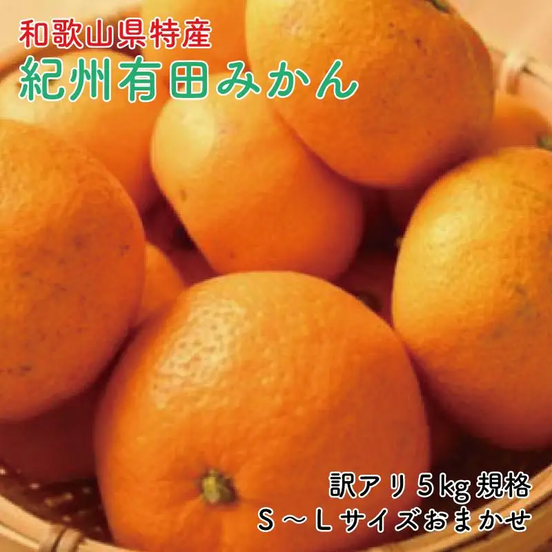 [訳あり]和歌山有田みかん約5kg（S～Lサイズいずれかお届け）★2026年11月中旬頃より順次発送［TM81］