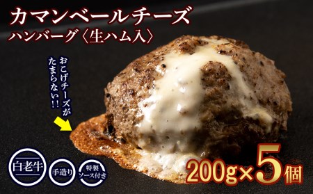 北海道産 白老牛 カマンベールチーズハンバーグ 5個セット