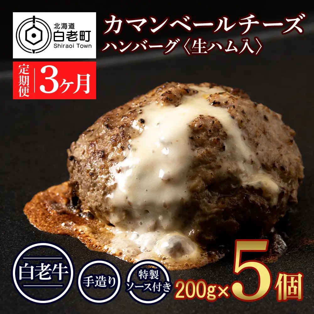 定期便３ヵ月 お楽しみ 北海道産 白老牛 カマンベールチーズハンバーグ 5個セット BY112