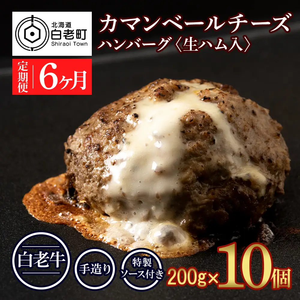 定期便6ヵ月 お楽しみ 北海道産 白老牛 カマンベールチーズハンバーグ 10個セット BY116