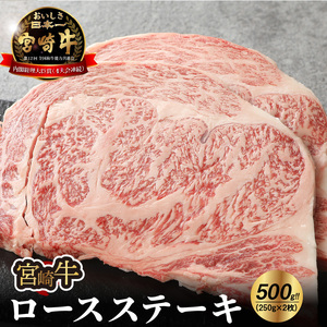宮崎牛 ロースステーキ500g_K18_0010_7