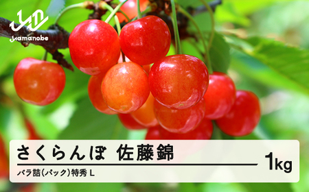 《先行予約》2026年 山形県産 さくらんぼ 佐藤錦 バラ詰（パック） 1kg 特秀 L サクランボ フルーツ F21A-328
