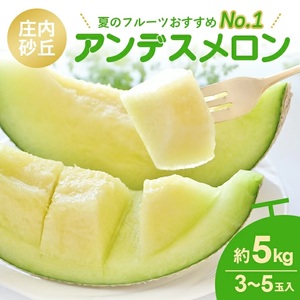 SA2930　庄内砂丘 『アンデスメロン』　約5kg(青肉/3～5玉入)