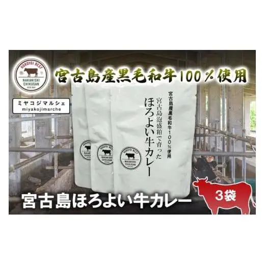 JH011　宮古島ほろよい牛カレー（3袋）
