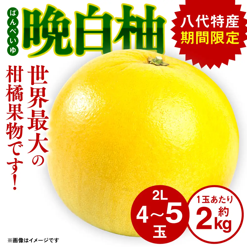 八代産　晩白柚 送料無料》【熊本県八代産‼️】晩白柚ギフトセット➀《晩白柚ペースト