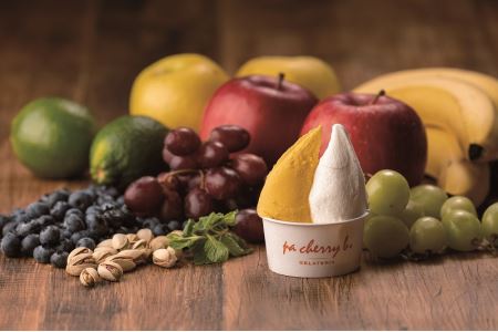 pa cherry b．オリジナルジェラート6種12個セット