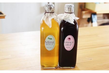 ノームキッチンのシロップセット大（ミント・エキナセア各500ml）