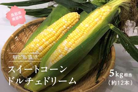 南部町産 朝採れスイートコーン（バイカラー種）5kg箱 2026年収穫分＜数量限定＞