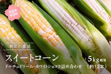 南部町産 朝採れスイートコーン5kg箱 食べくらべセット（バイカラー種・ホワイト種）2026年収穫分＜数量限定＞