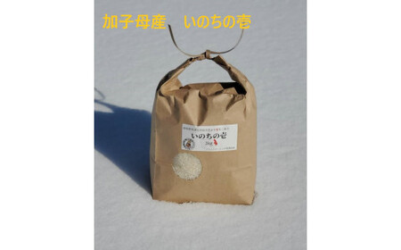いのちの壱 3kg 加子母産 F4N-2737
