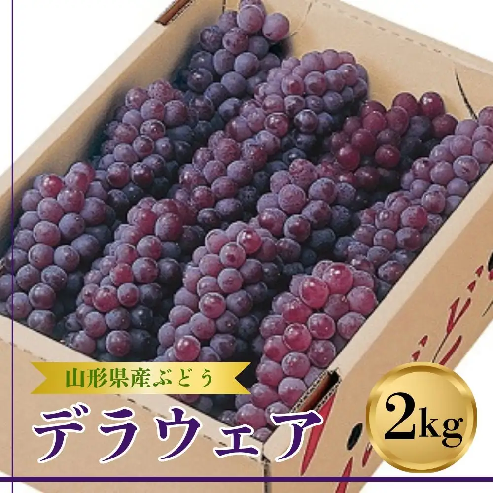 ぶどう（デラウェア）２ｋｇ　0060-2607