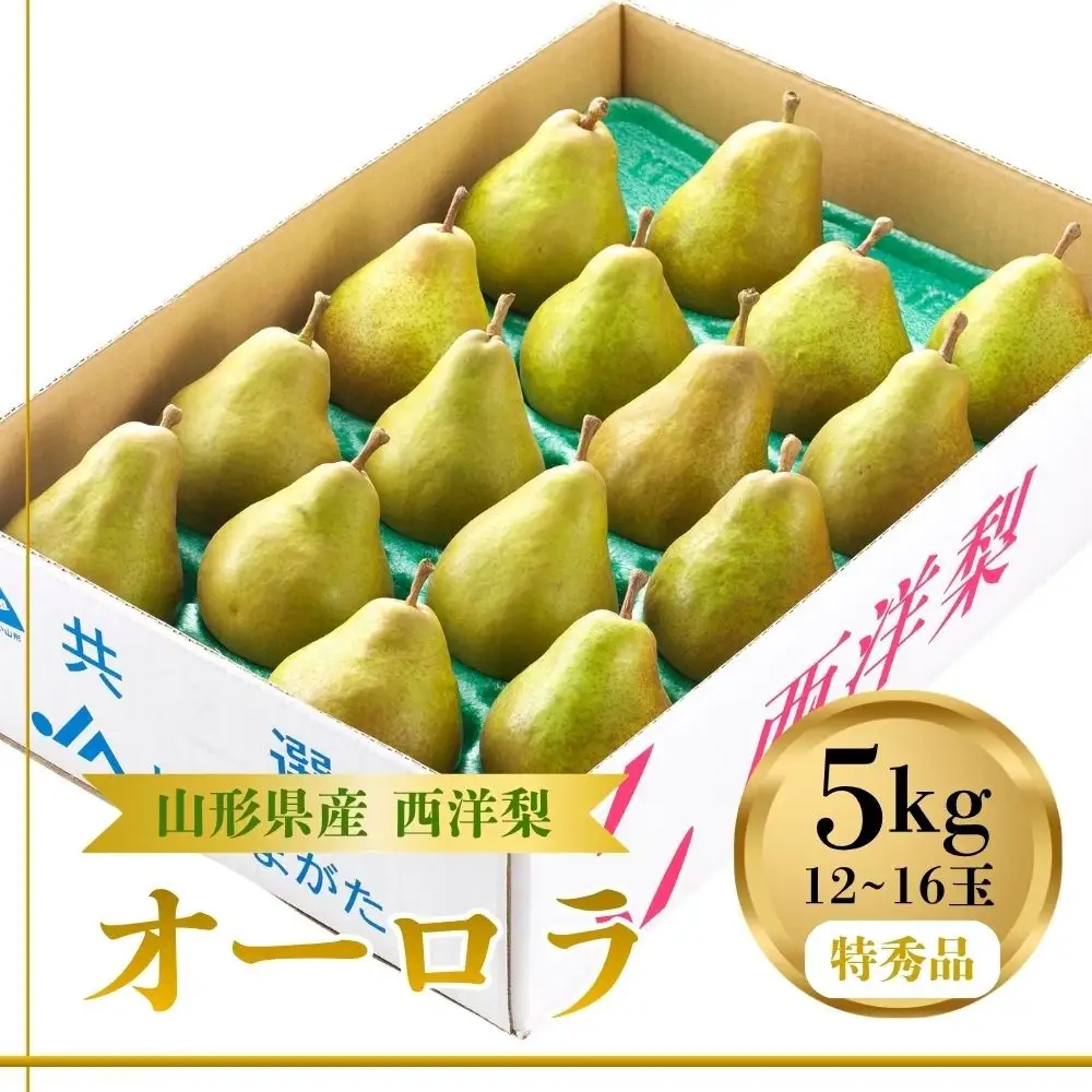 西洋梨（オーロラ）５ｋｇ　１２～１６玉　特秀品　0060-2608