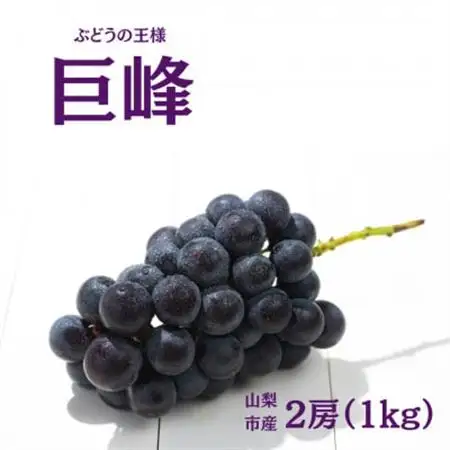 【2026年発送】産地直送 山梨市産 巨峰2房【配送不可地域：離島】【1377175】