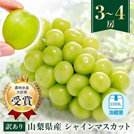 【2026年発送】【訳あり】シャインマスカット 3～4房 1.5kg以上_甘いシャインマスカット あまいシャインマスカット 美味しいシャインマスカット おいしいシャインマスカット 人気のシャインマスカット 瑞々しいシャインマスカット _【配送不可地域：離島】【1391174】