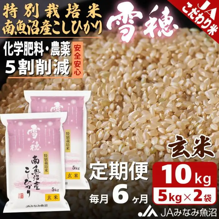 【JAみなみ魚沼定期便】特別栽培米南魚沼産こしひかり「雪穂」玄米（10kg×全6回）農薬5割削減 調整玄米 精選玄米 特A獲得日本一産地 高品質精米 もっちり甘い 南魚沼産コシヒカリ≪定期便 コシヒカリ こしひかり 玄米 銘柄米≫