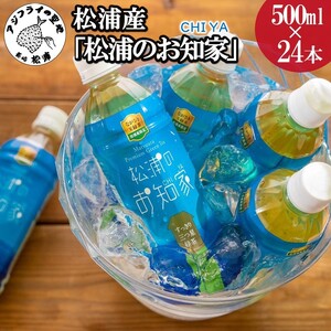 松浦産「松浦のお知家」お茶ペットボトル500ml×24本【B3-060】