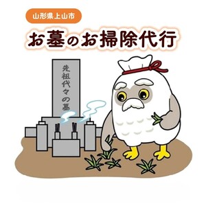 お墓のお掃除代行　６平方メートル～１０平方メートル未満　0109-2602