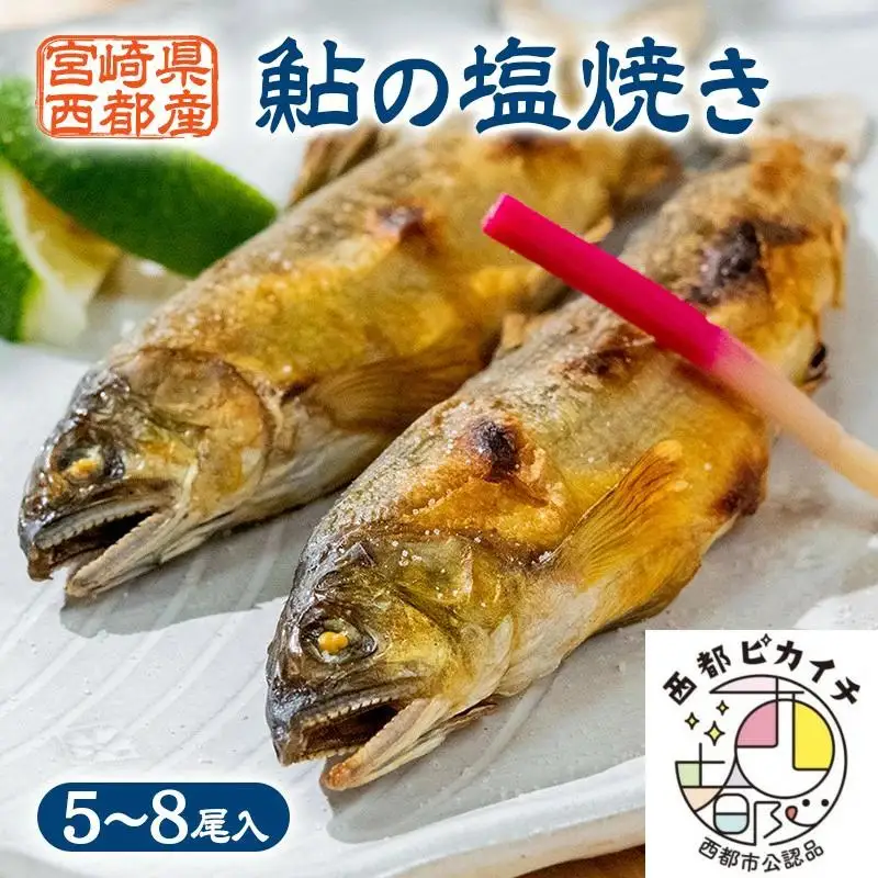 鮎の塩焼きギフト 5～8尾入り ＜25-7a＞川魚 鮎 あゆ★