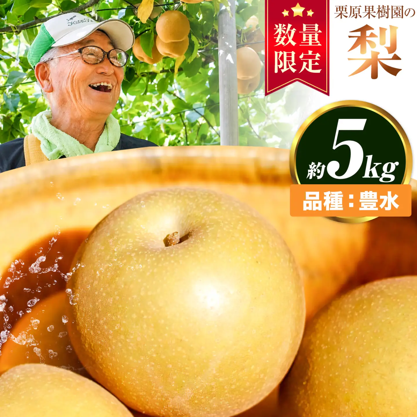 【先行予約】栗原果樹園梨5kg 豊水《8月下旬-9月中旬頃出荷予定》茨城県結城市梨【配送不可地域あり】(離島)