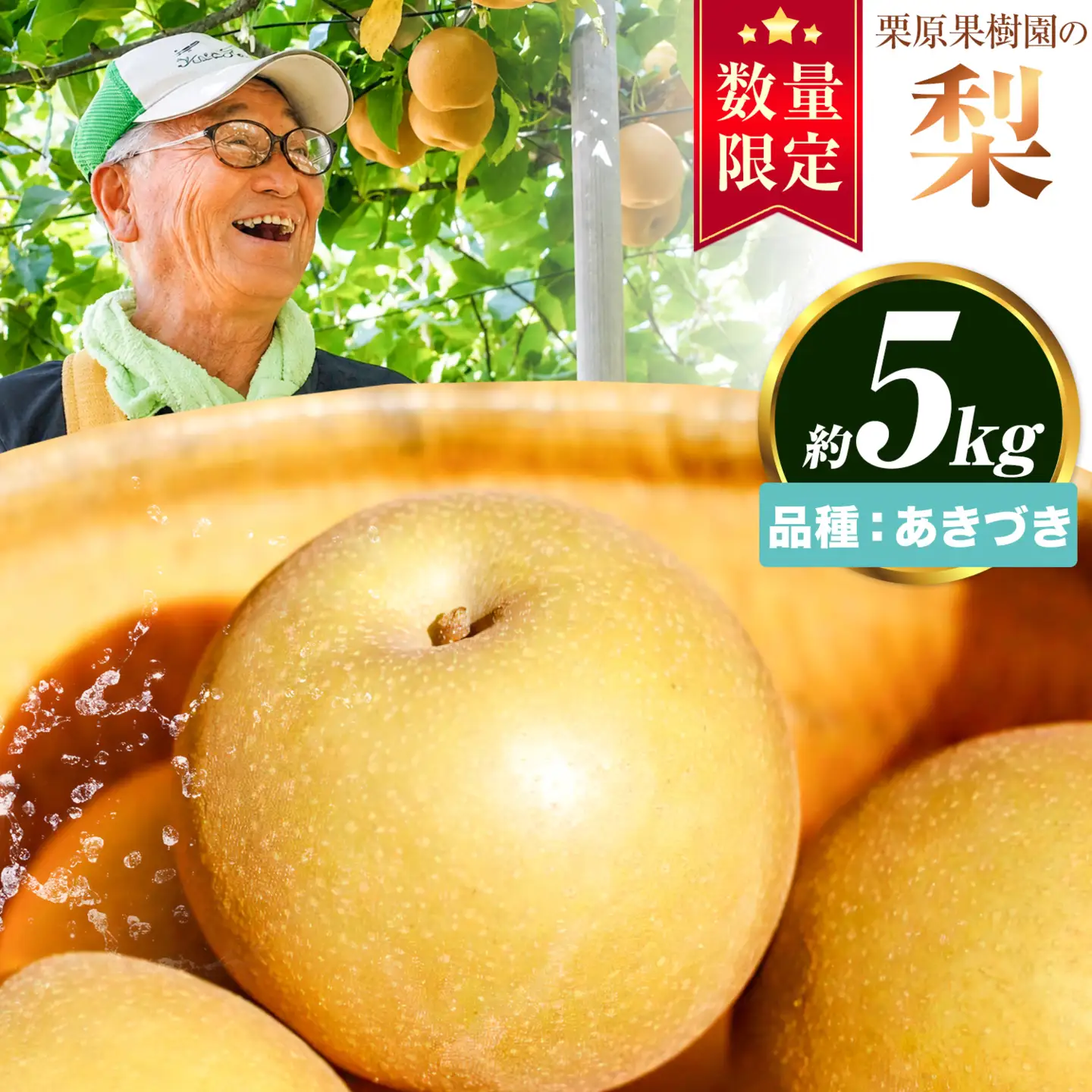 【先行予約】栗原果樹園 梨 5kg  あきづき 《9月上旬-9月下旬頃出荷予定》茨城県 結城市 なし 梨 フルーツ 旬 果物 【配送不可地域あり】(離島)