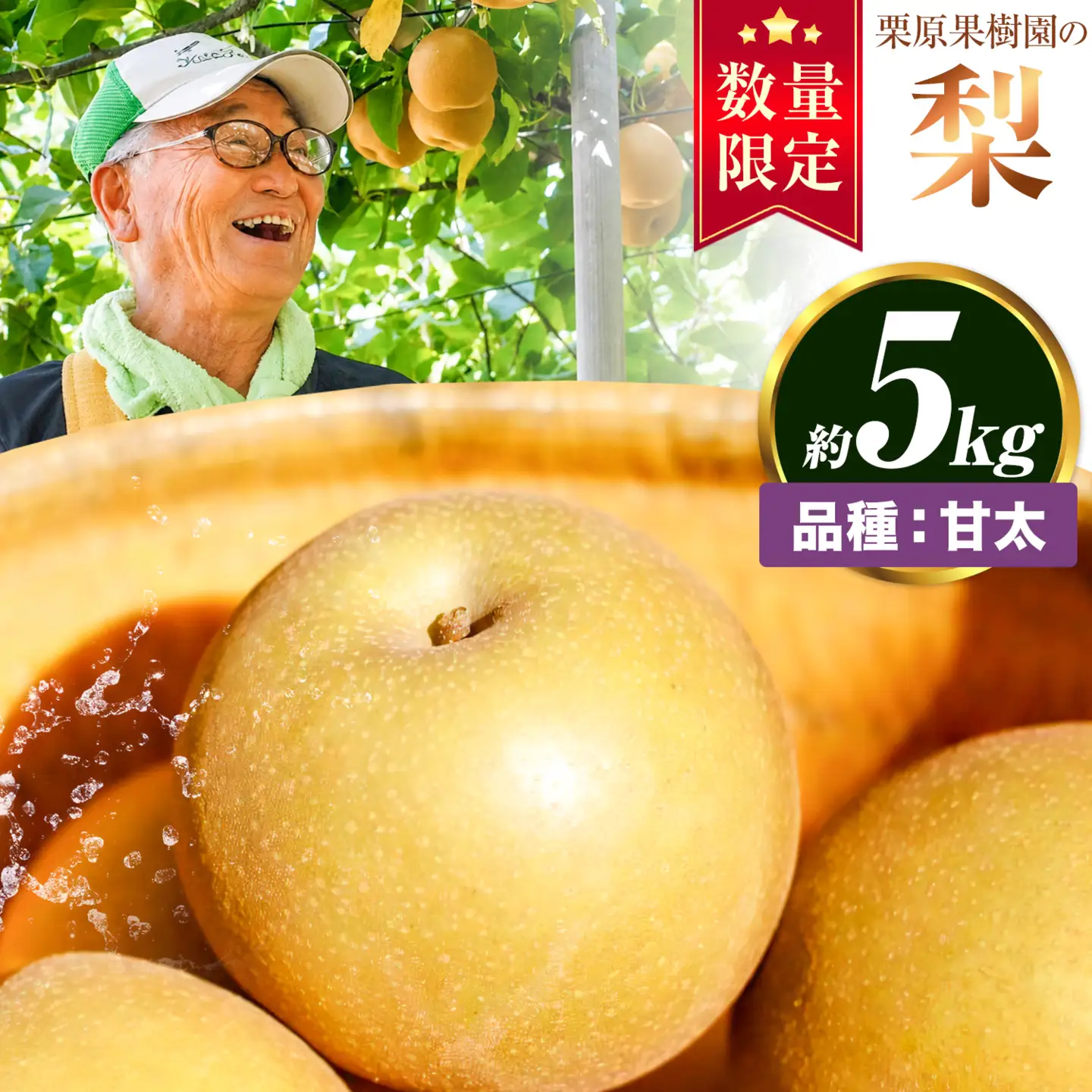 【先行予約】栗原果樹園 梨 5kg  甘太 《9月上旬-9月下旬頃出荷予定》茨城県 結城市 なし 梨 フルーツ 旬 果物 【配送不可地域あり】(離島)