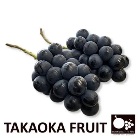 2026年発送「産地より信州中野の旬をお届け」 ナガノパープル　贈答用　約1kg【配送不可地域：離島】【1311109】