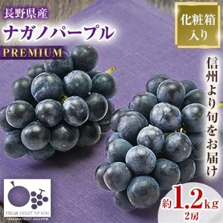 2026年発送「産地より信州中野の旬をお届け」 ナガノパープル　PREMIUM　約1.2kg【配送不可地域：離島】【1311111】
