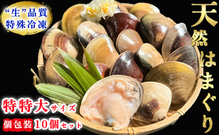 大粒!天然はまぐり(特特大サイズ)170g前後×10個入り 個包装 岬だより