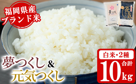 《白米》福岡県産米食べ比べセット「夢つくし」と「元気つくし」(2種計10kg・各5kg×1袋) 白米 米 お米 おこめ ごはん ご飯 常温 福岡県産 ブランド米 ゆめつくし げんきつくし 常温 常温保存 おにぎり おむすび お弁当 ライス【朝ごはん本舗】as05-083