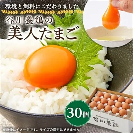 【生みたて濃厚】谷川養鶏の美人たまご　30ヶ入り(※サイズ指定できません)_卵・乳製品 卵  たまご タマゴ 玉子_【配送不可地域：離島】【1390250】