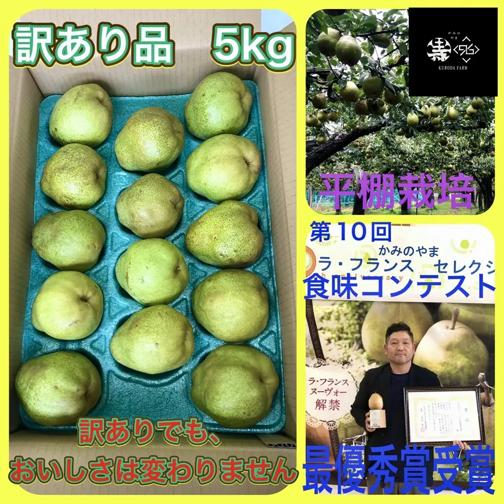 ラ・フランス　５ｋｇ　ご家庭用　0102-2606
