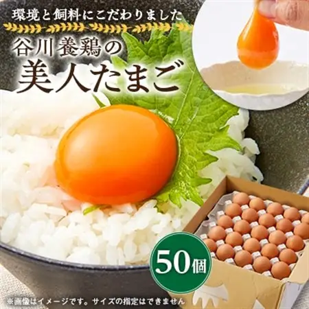【生みたて濃厚】谷川養鶏の美人たまご　50ヶ入り(※サイズ指定できません)_卵・乳製品 卵  たまご タマゴ 玉子_【配送不可地域：離島】【1390274】