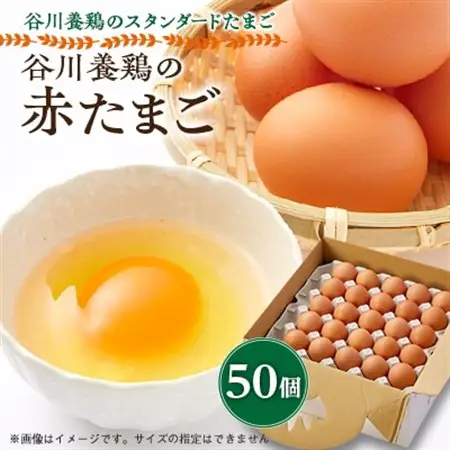 【生みたて濃厚】谷川養鶏の赤たまご　50ヶ入り(※サイズ指定できません)_卵・乳製品 卵  たまご タマゴ 玉子_【配送不可地域：離島】【1390290】