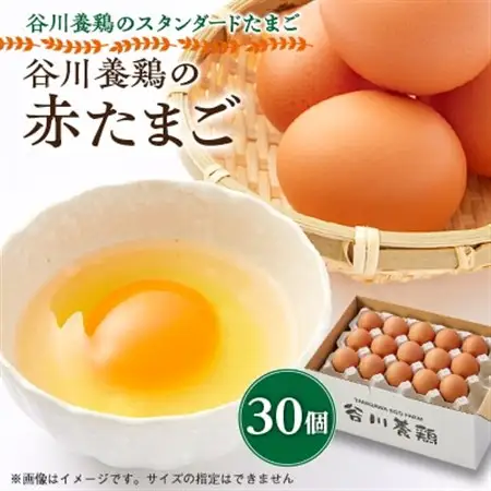 【生みたて濃厚】谷川養鶏の赤たまご　30ヶ入り(※サイズ指定できません)_卵・乳製品 卵  たまご タマゴ 玉子_【配送不可地域：離島】【1390294】