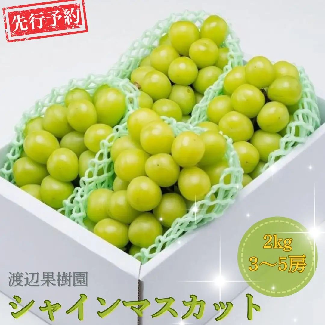 先行予約 シャインマスカット 2kg  (3~5房) 令和8年度 贈答用 渡辺果樹園